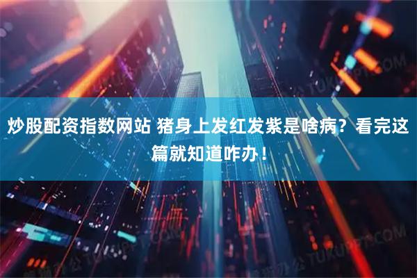 炒股配资指数网站 猪身上发红发紫是啥病？看完这篇就知道咋办！